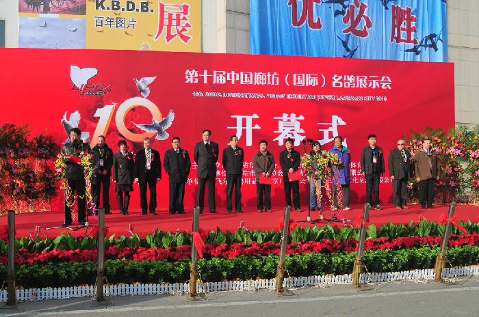 中国廊坊国际鸽展开幕式场面空前壮观