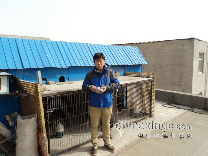 第七名获奖鸽主：朱海全