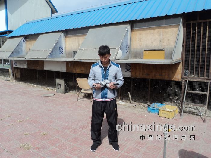 第六名、八名获奖鸽主：荣校