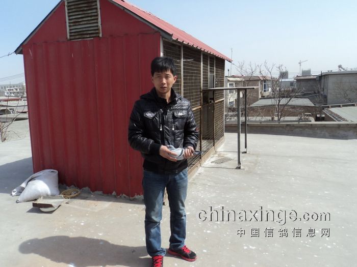 四名鸽主：王利峰