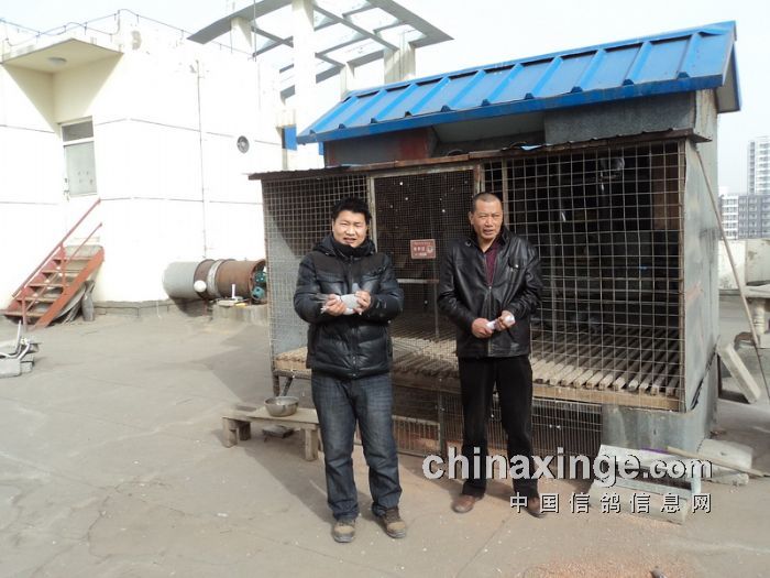 第五名鸽主：李峰